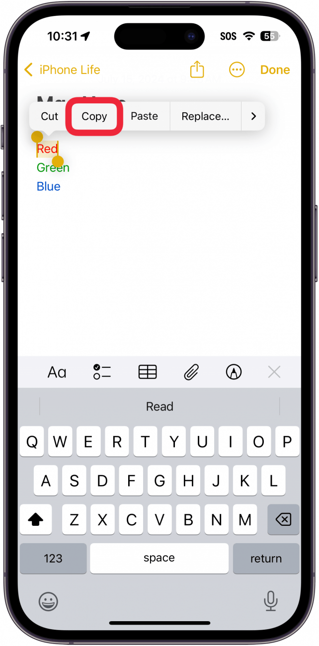 iphone notes app with a note open, displaying text options with a red box around copy button