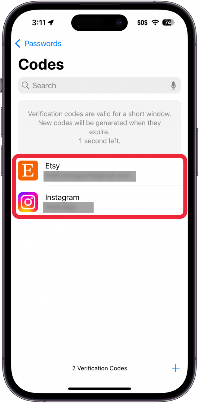 iphone passwords app codes screen with a red box around two accounts with passkeys