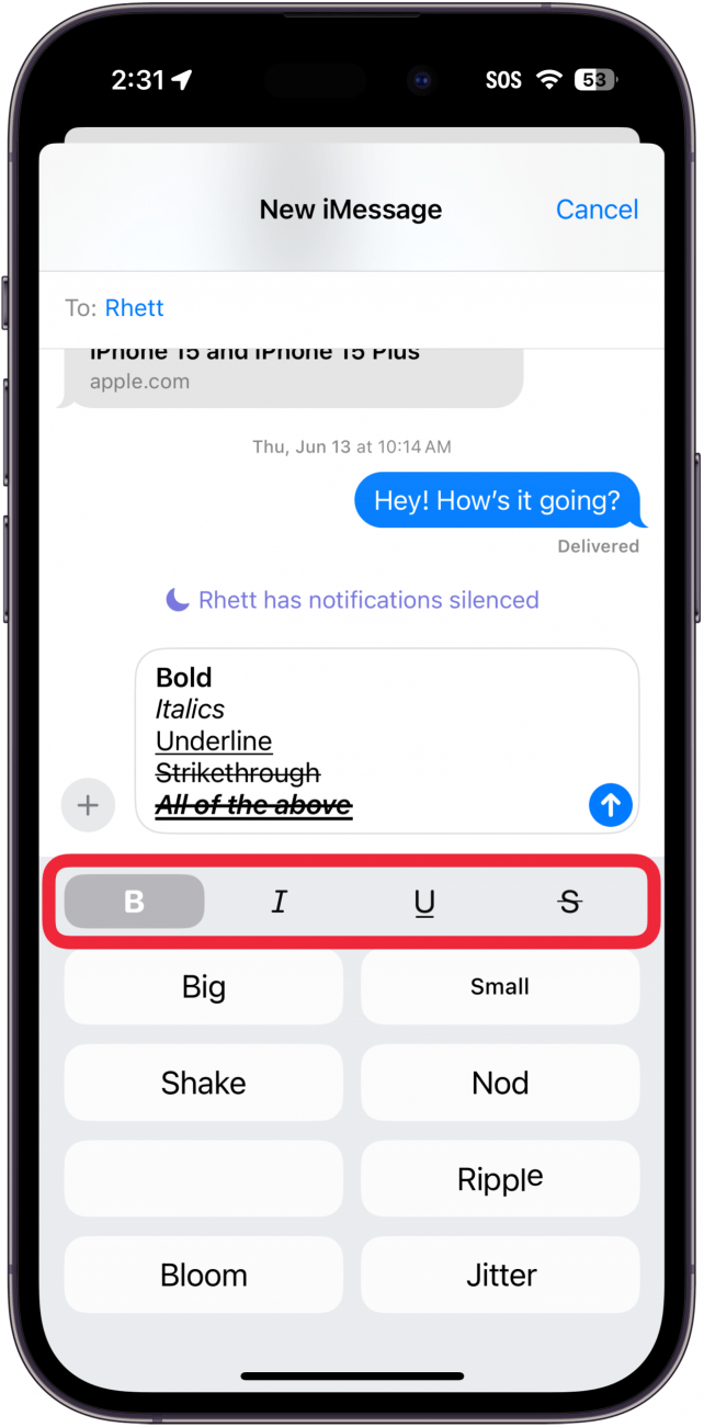 iphone messages app displaying different text effects with a red box around options for bold, italics, underline, and strikethrough