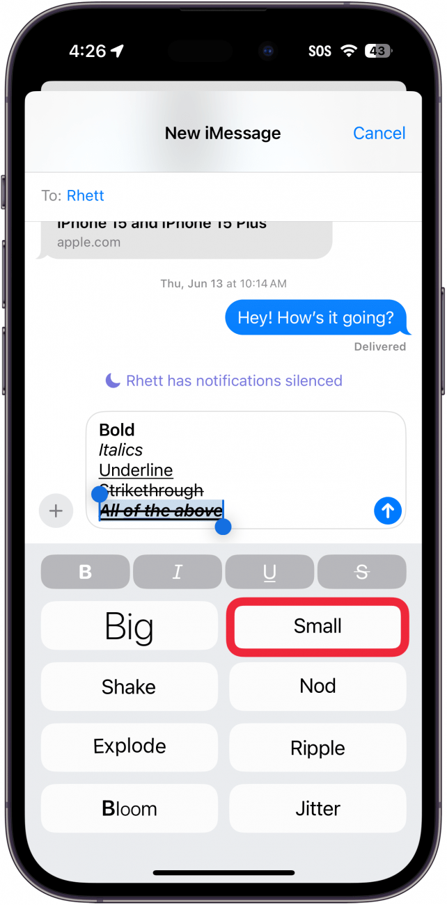 iphone messages app displaying different text effects with a red box around small