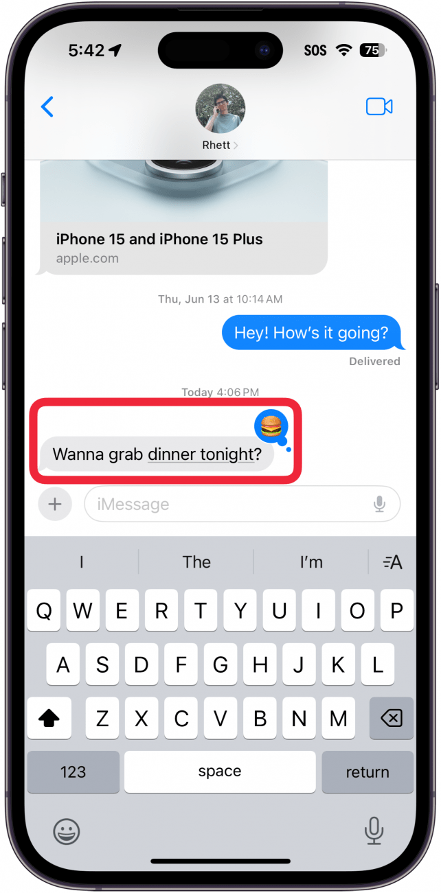 iphone messages app with a red box around message bubble which has a smaller, secondary bubble with a cheeseburger emoji inside it