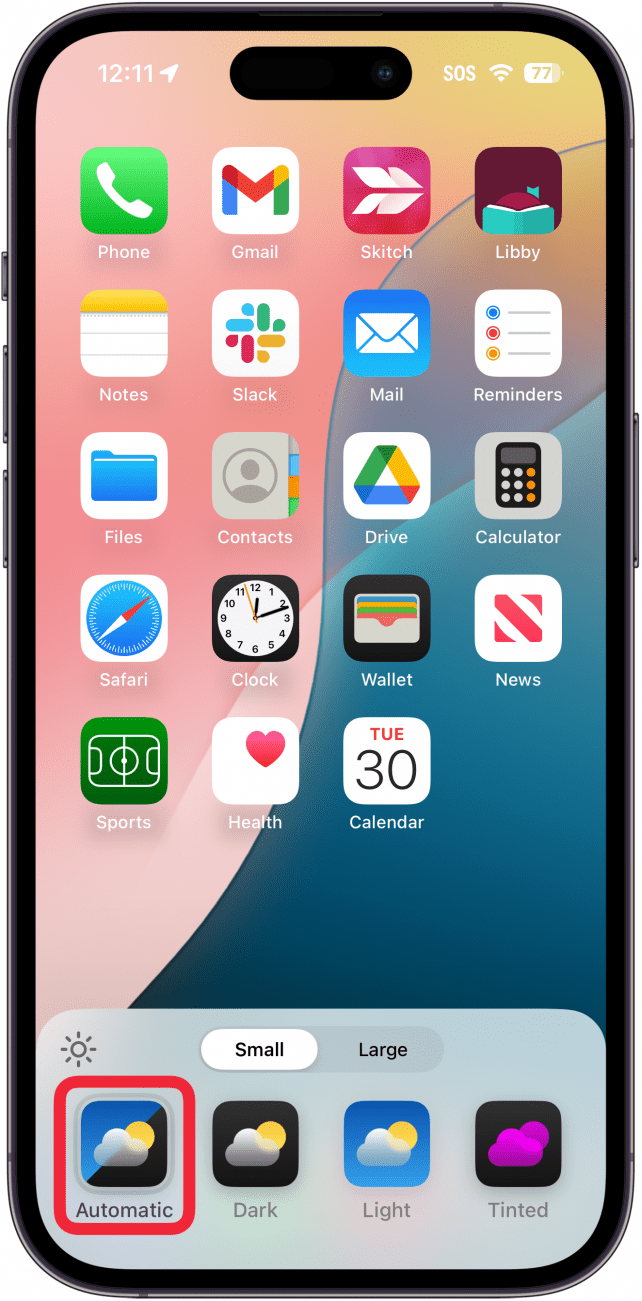 iphone home screen customization menu with a red box around automatic icon setting