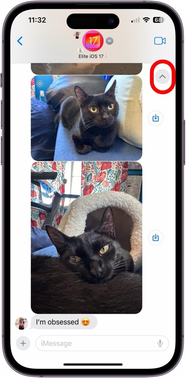 ios group chat showing pictures of cats. in the upper right corner is a gray circle with a dark arrow in the middle pointing upwards. a red circle surrounds this button