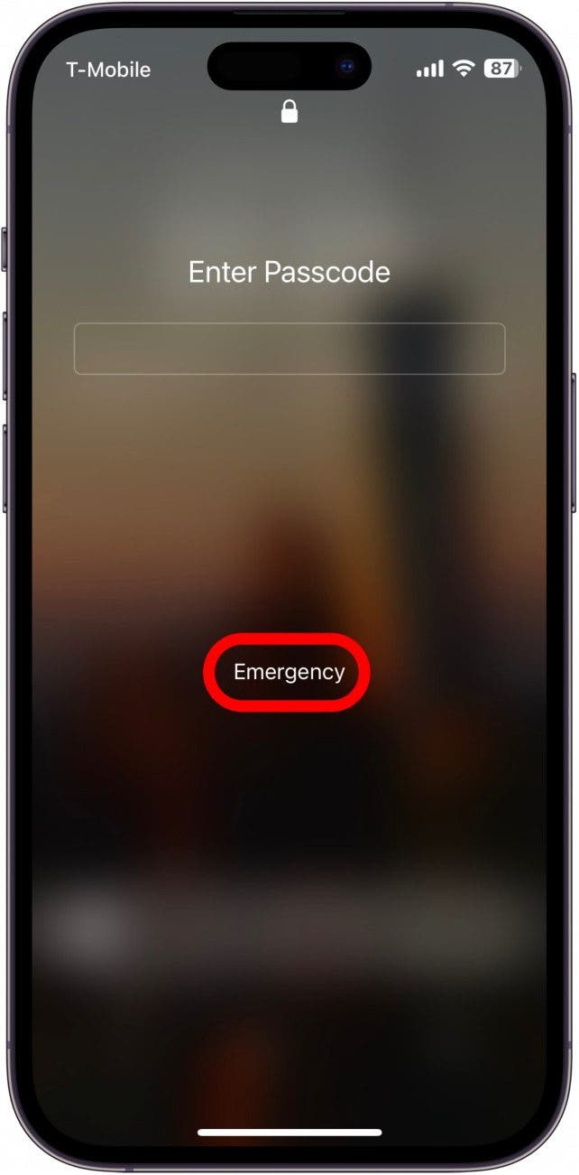 To access your or someone else's Medical ID in an emergency, tap Emergency in the bottom left on the Lock Screen when attempting to enter the passcode.