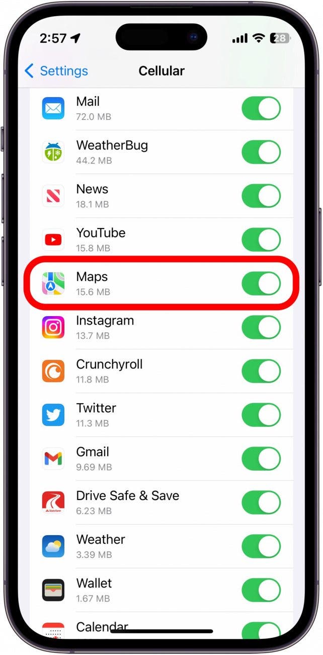 Make sure the toggle for Maps is green and positioned to the right.