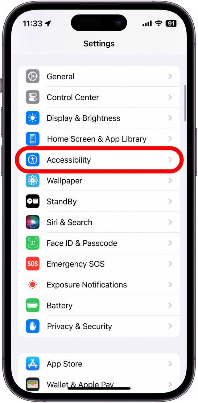 iPhone settings screenshot with accessibility circled in red