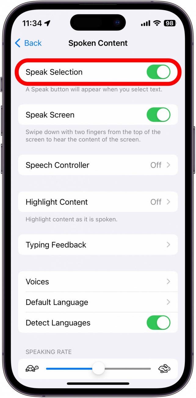 sceenshot of iphone text to speech settings with speak selection circled in red