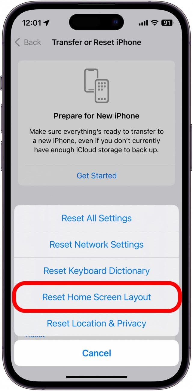 screenshot of iphone reset options with reset home screen layout circled in red