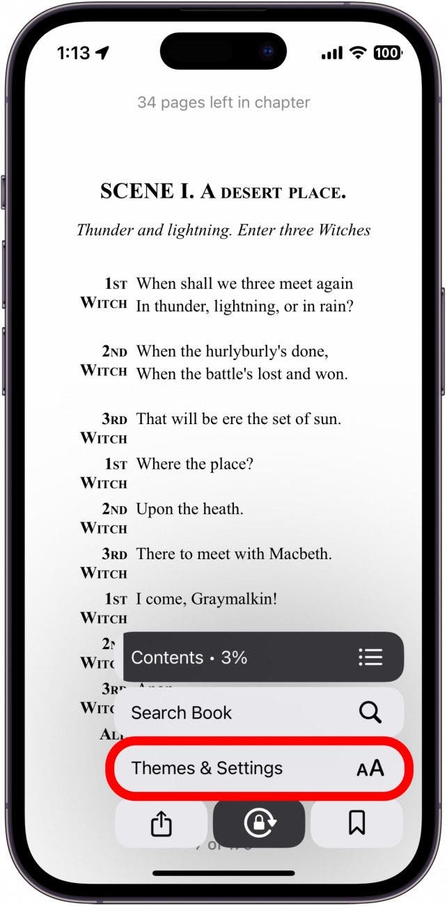 apple books menu with themes and settings button circled in red