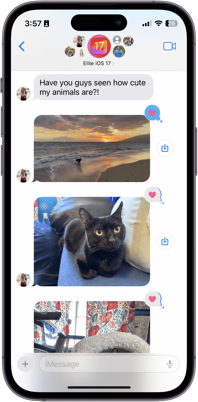 ios group chat showing pictures of cats