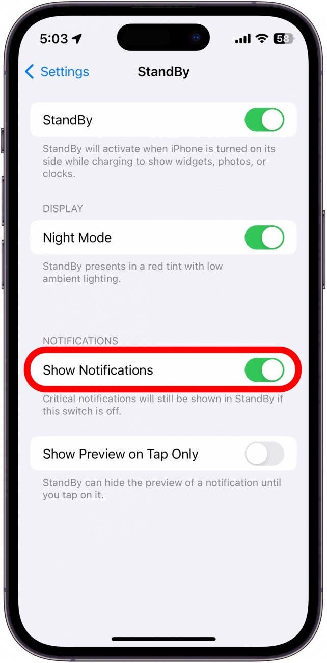 iphone standby settings with show notifications toggle circled in red