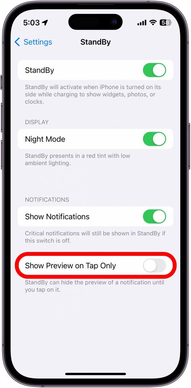 iphone standby settings with show preview on tap toggle circled in red