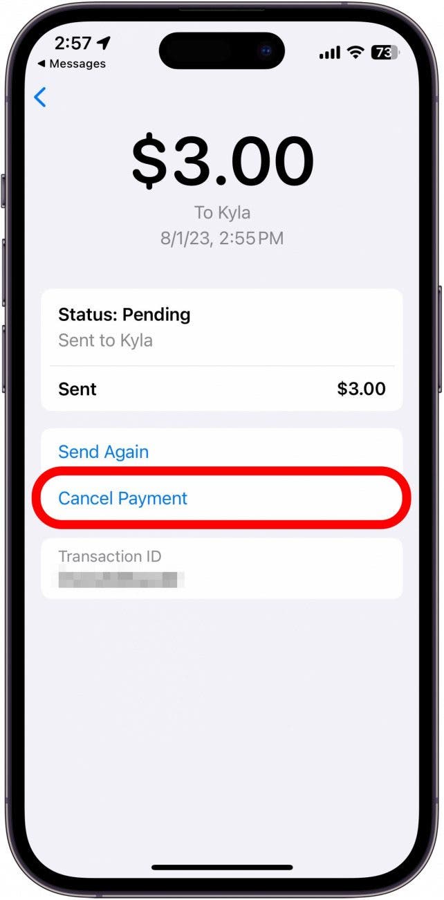 apple payment info screen with cancel payment button circled in red