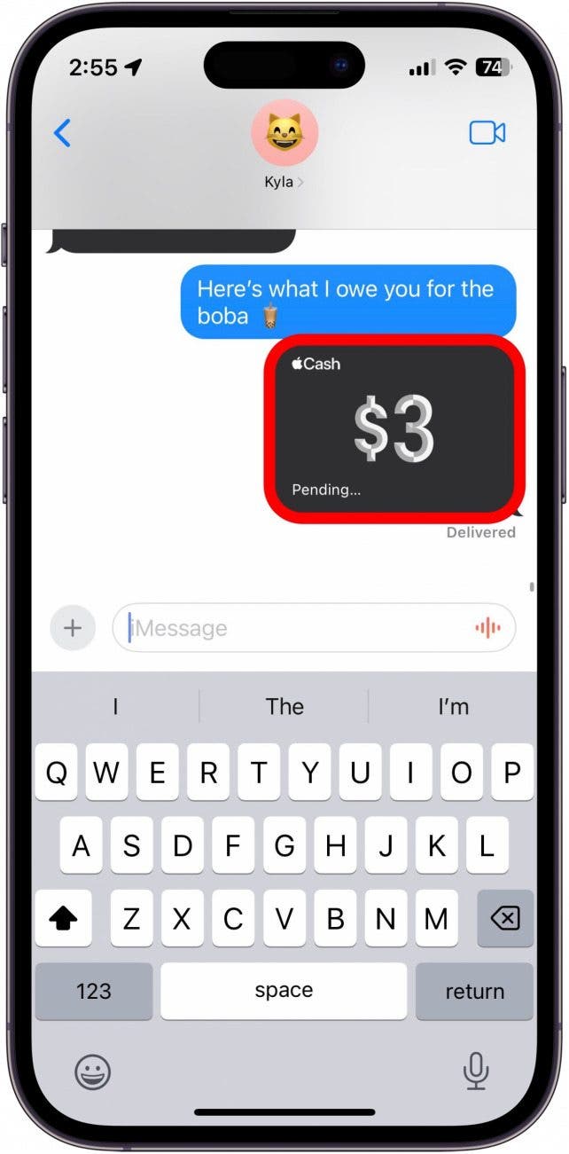 screenshot of imessage with apple pay payment circled in red