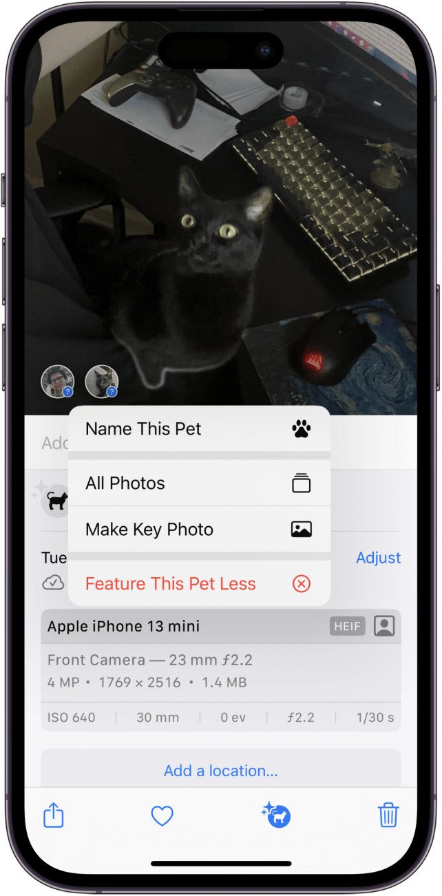 picture of a black cat in photos app with photo info displayed