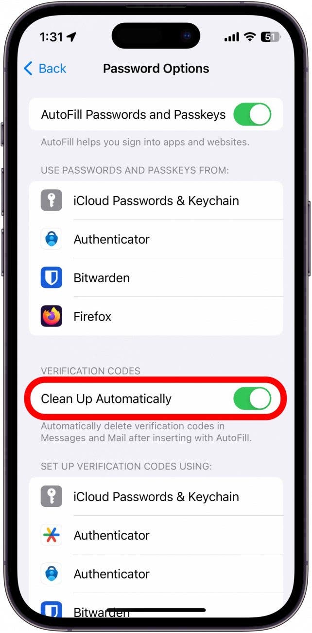 iphone password options with clean up automatically toggle circle in red