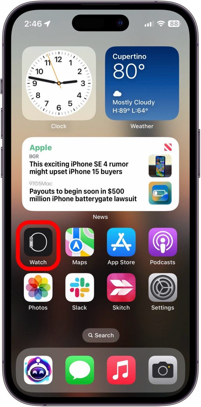 How to use on sale zoom on apple watch