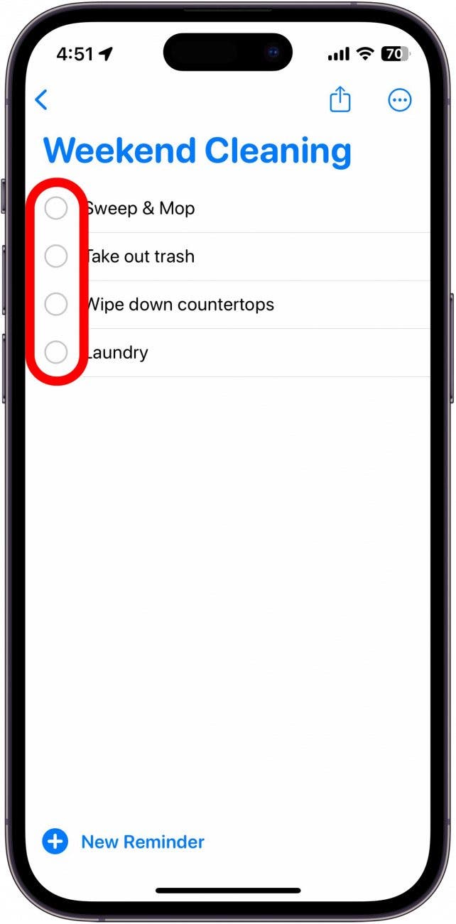 iphone reminder list with check boxes circled in red