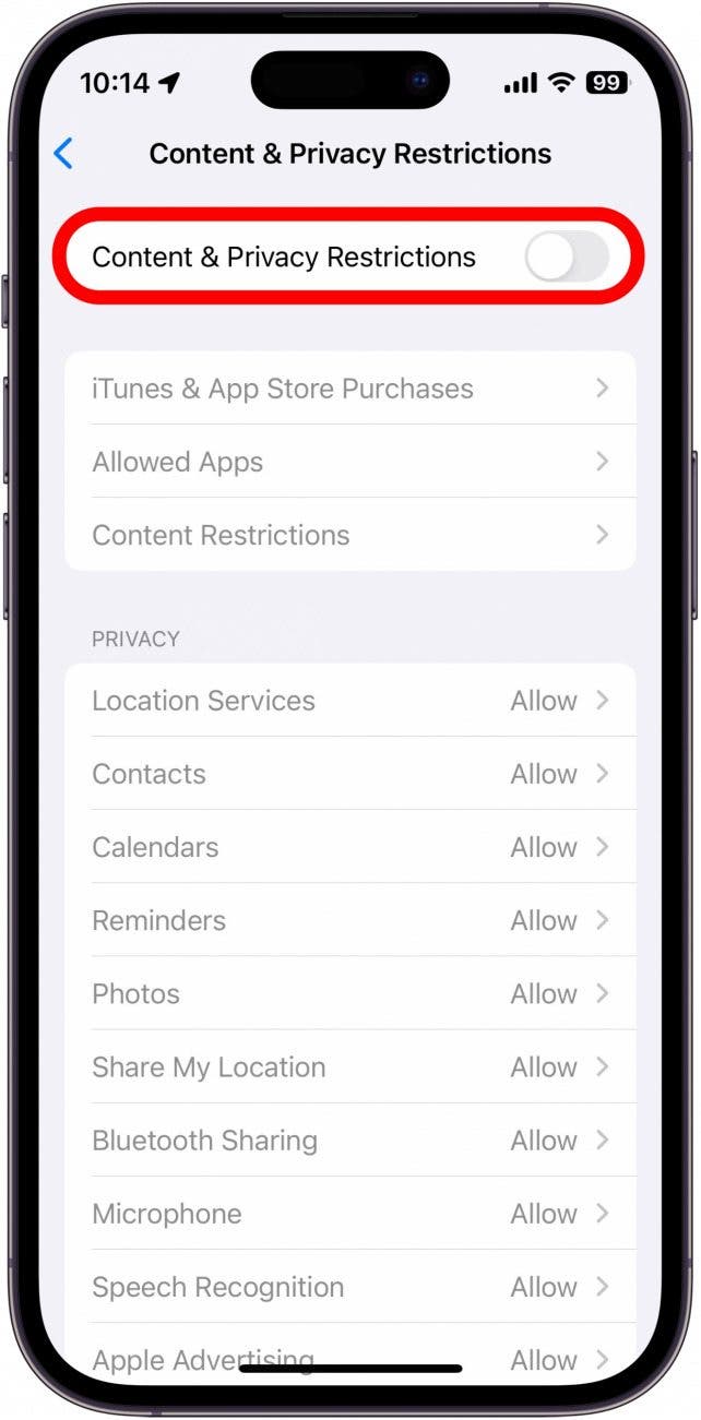 iphone content and privacy restrictions with gray toggle at the top of the menu circled in red