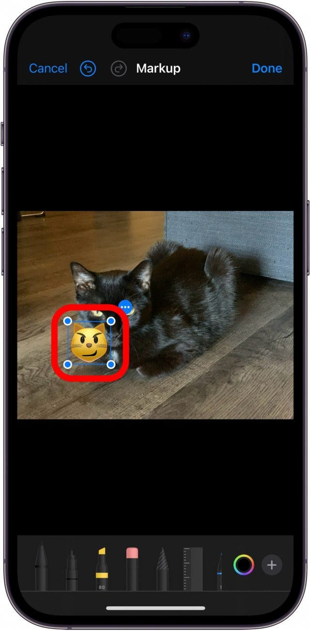 iphone photo markup with cat emoji sticker on photo