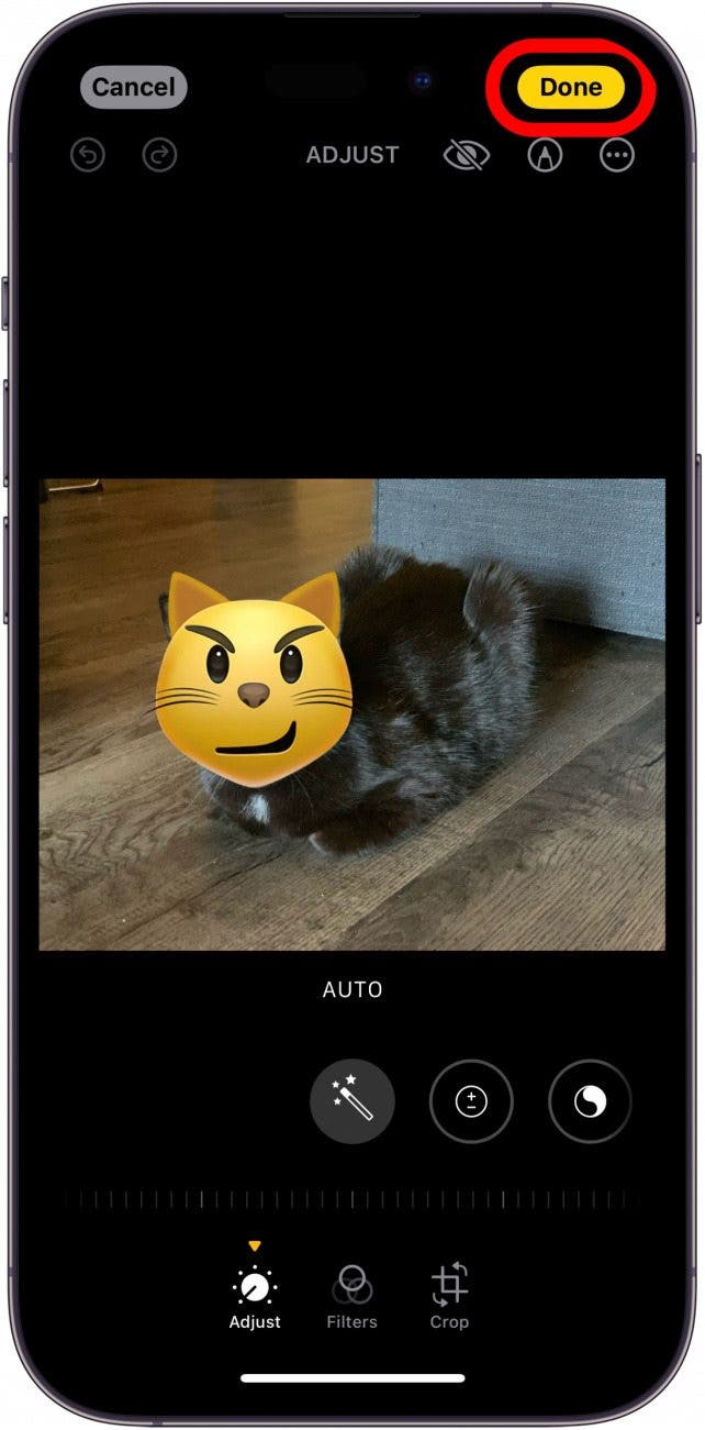 iphone photo editor with enlarged cat emoji covering a real cat's face in photo with done button circled in red