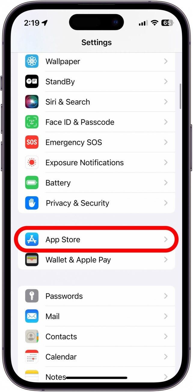 iphone settings app with app store circled in red