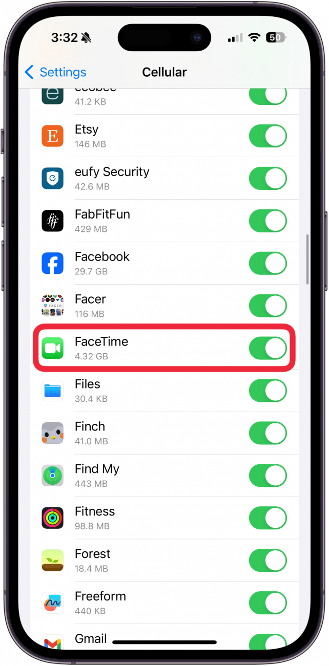 facetime won't show other person