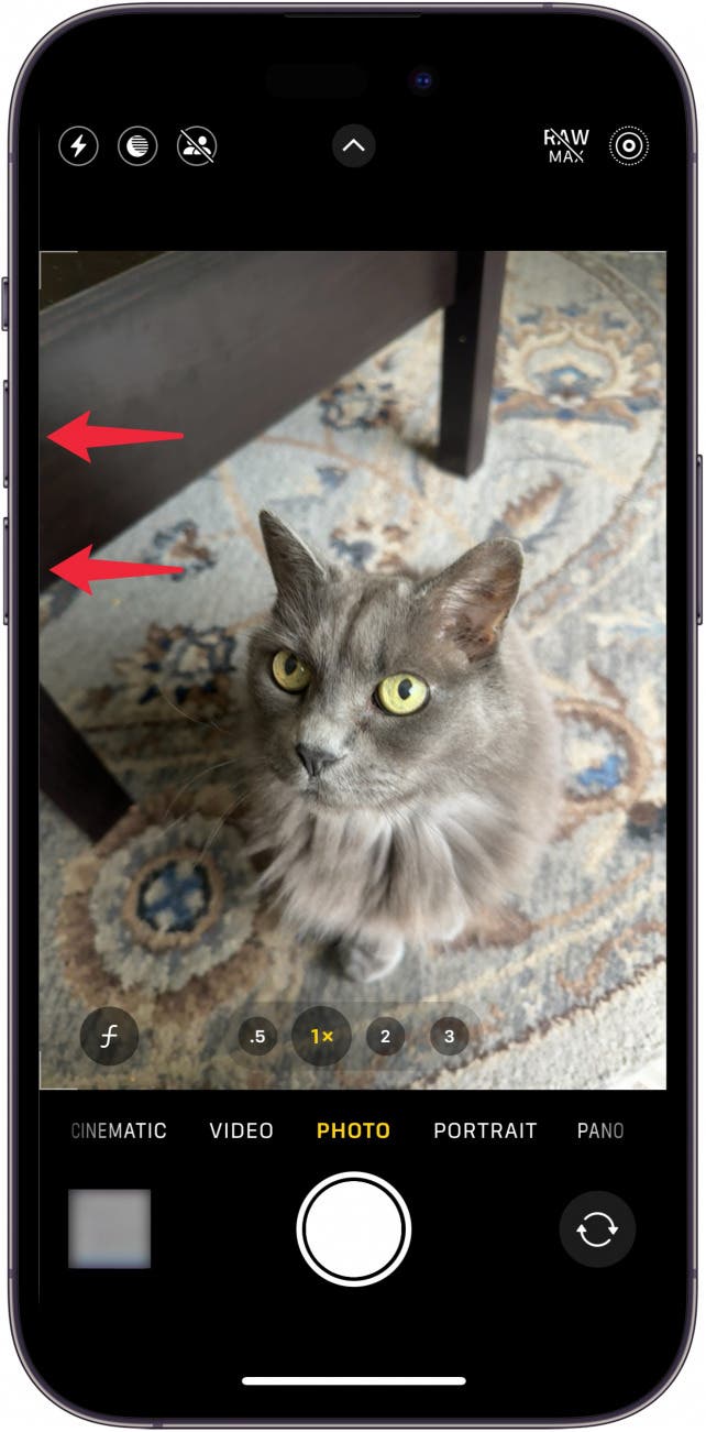 iphone displaying the camera screen with red arrows pointing at the volume buttons, indicating to the user to press one of the volume buttons