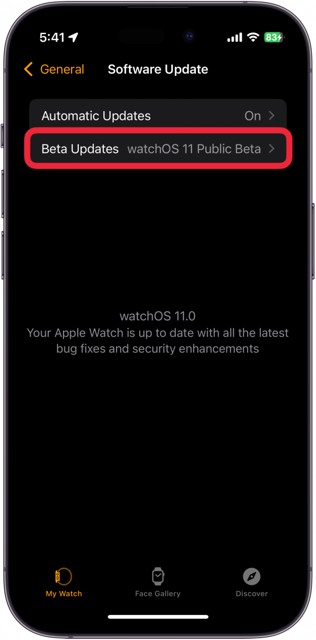 iphone apple watch app software update settings with a red box around beta updates