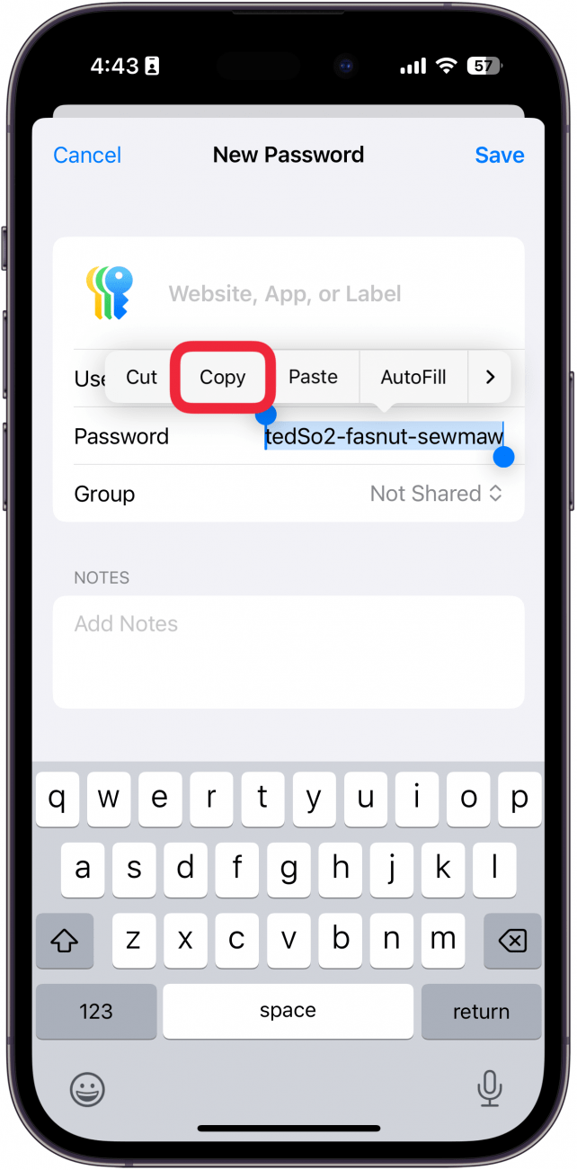 iphone passwords app new password screen with strong password highlighted and copy/paste menu opened with a red box around copy