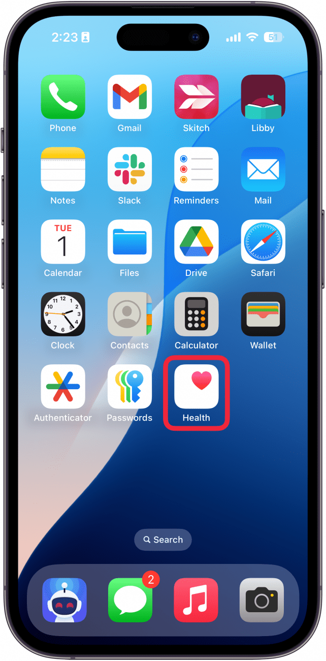 iphone home screen with a red box around the health app