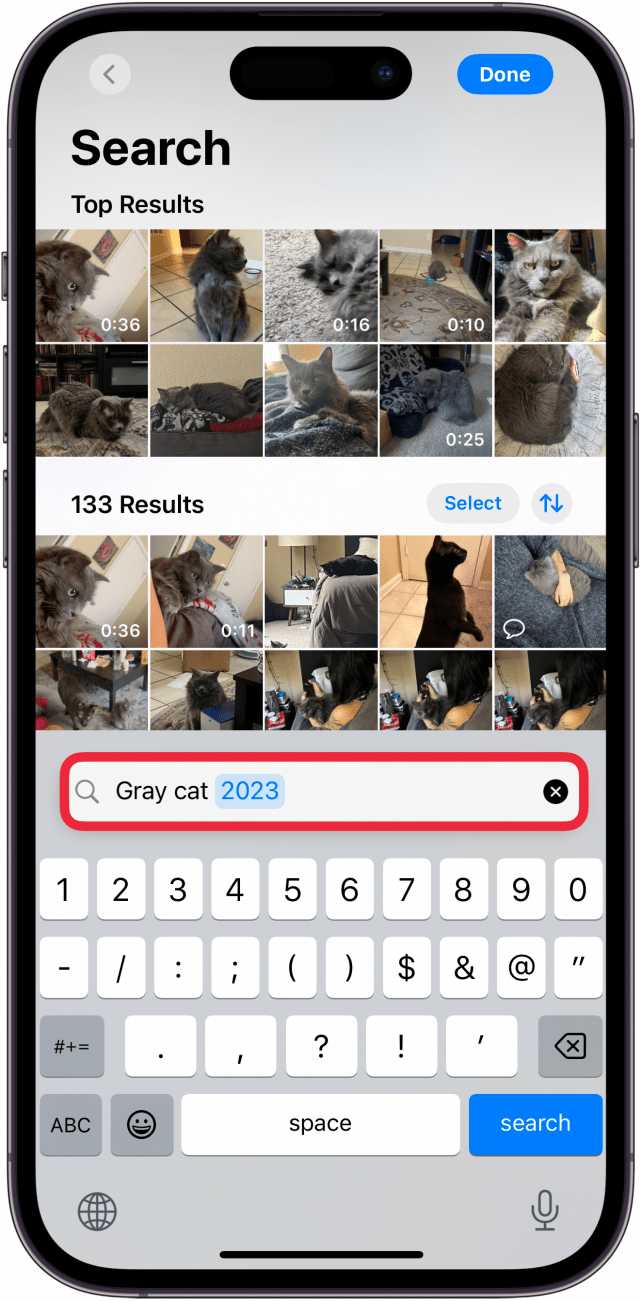 iphone photos search results for cats with a red box around the search bar