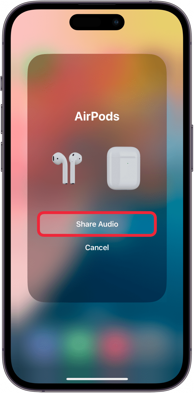 iphone share audio menu with a red box around share audio