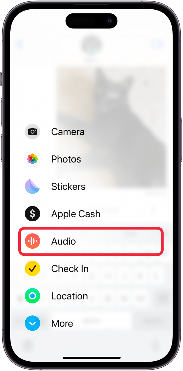 iphone messages app displaying app menu with a red box around audio