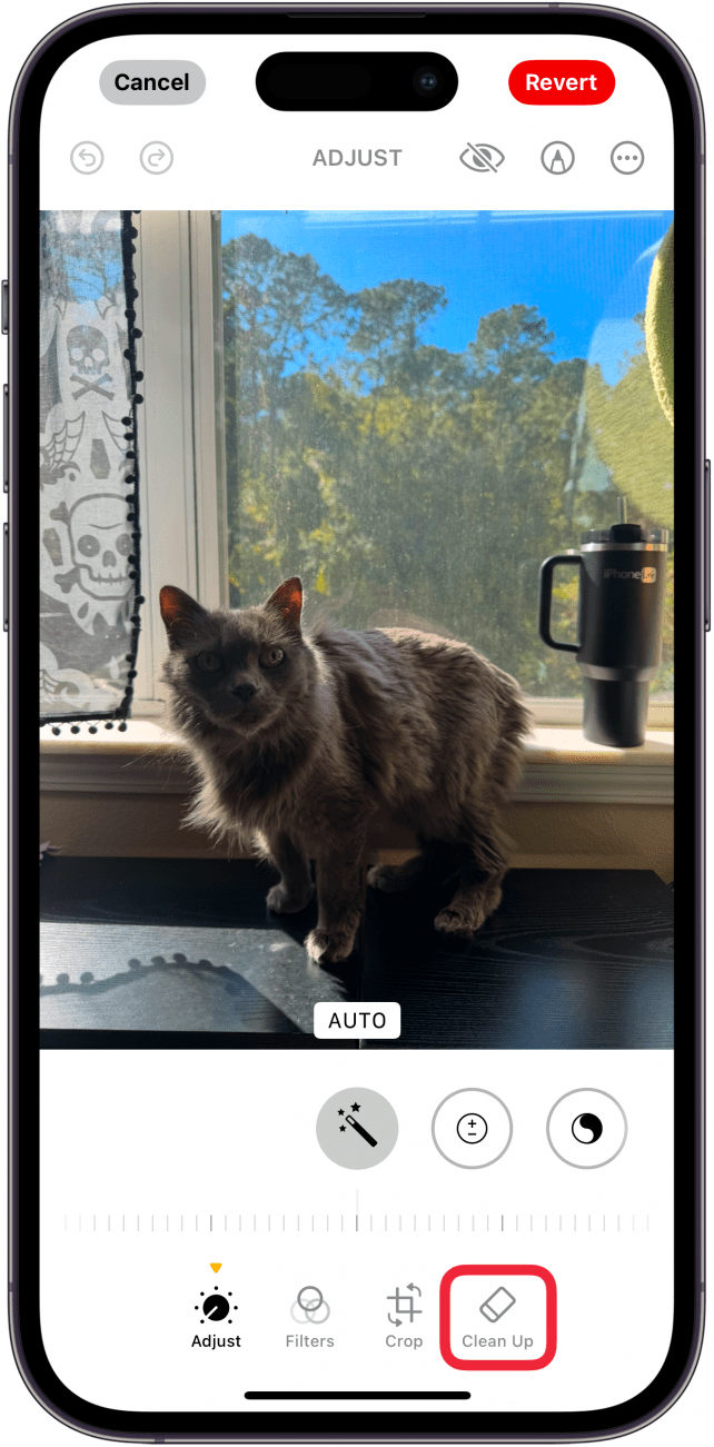 iphone photo editing screen with a red box around clean up