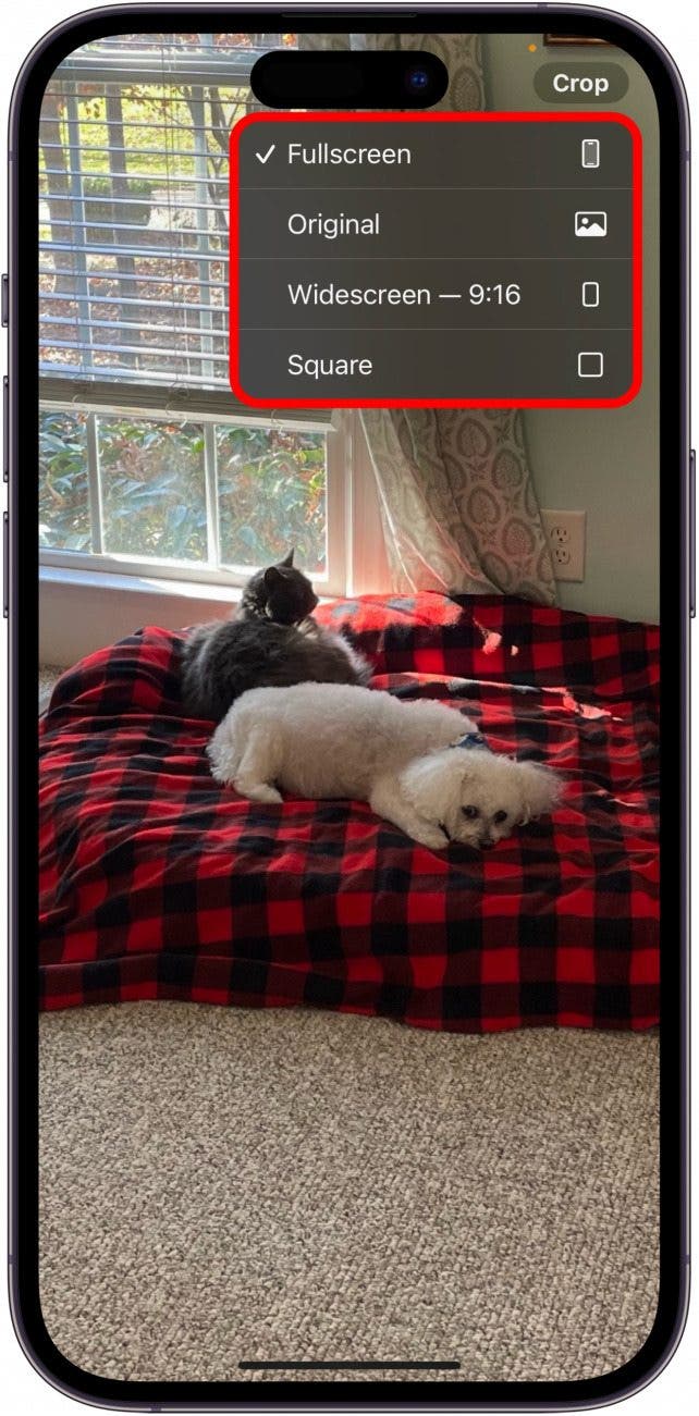 Quickly crop a photo in the photos app