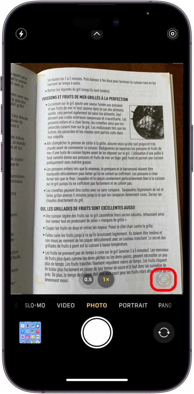 Focus the camera over the text you want to translate. When it’s focused, it should outline the text with four yellow highlights around each corner. Tap the Live Text button in the bottom left.