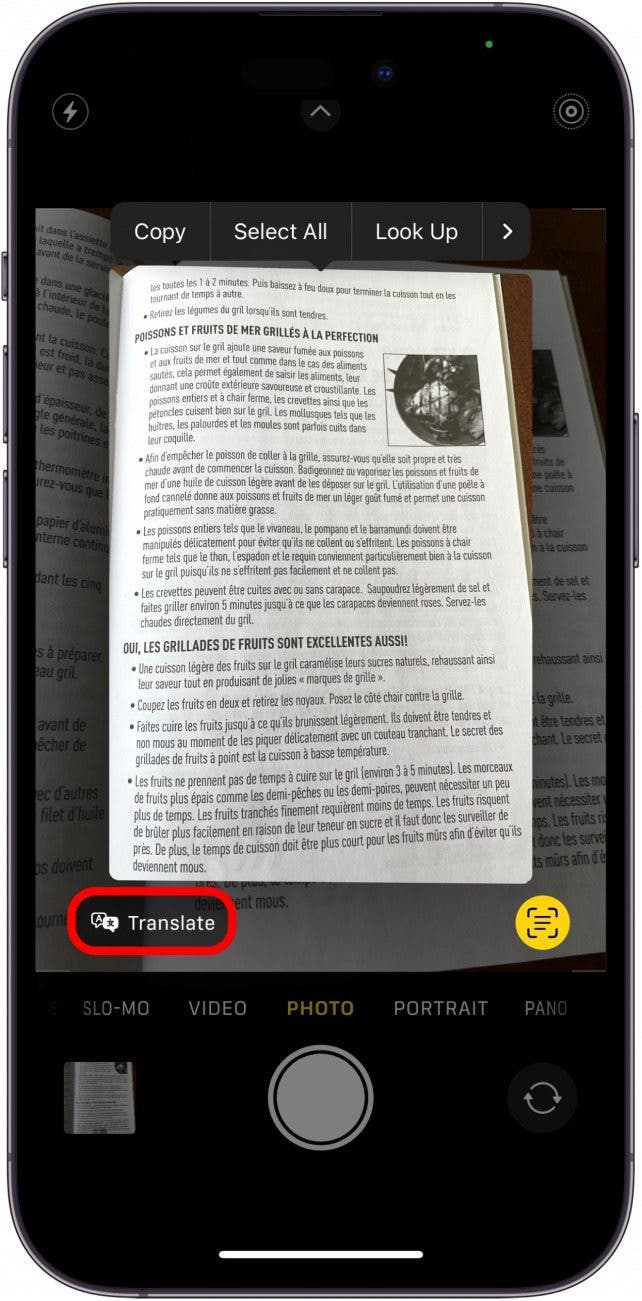 Tap Translate in the bottom left corner.