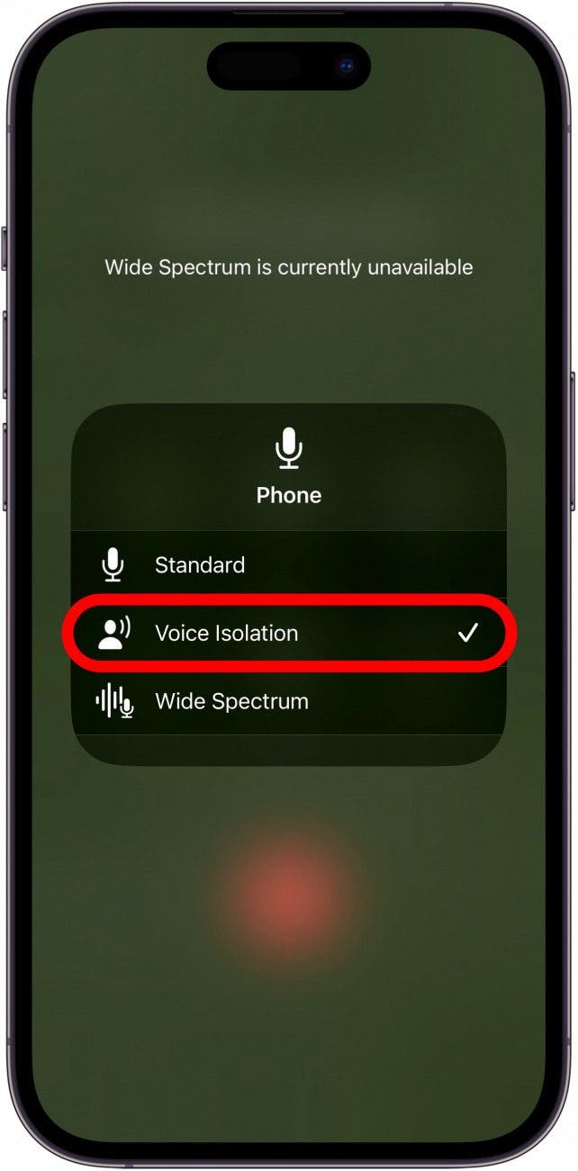 Select Voice Isolation