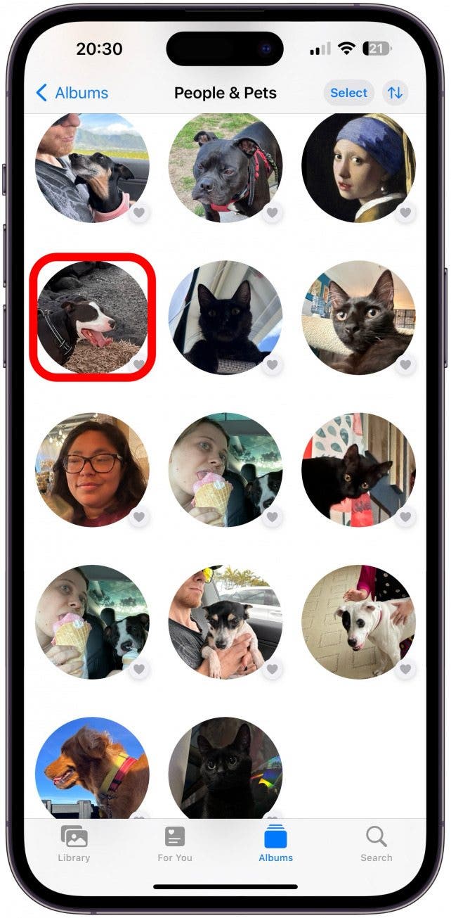 Locate an image of your pet and tap it.