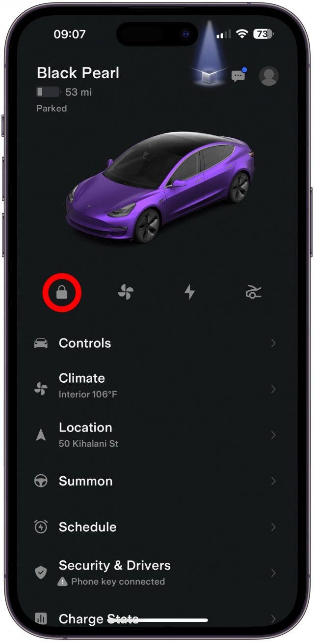 Use the Tesla app to lock your car from anywhere.