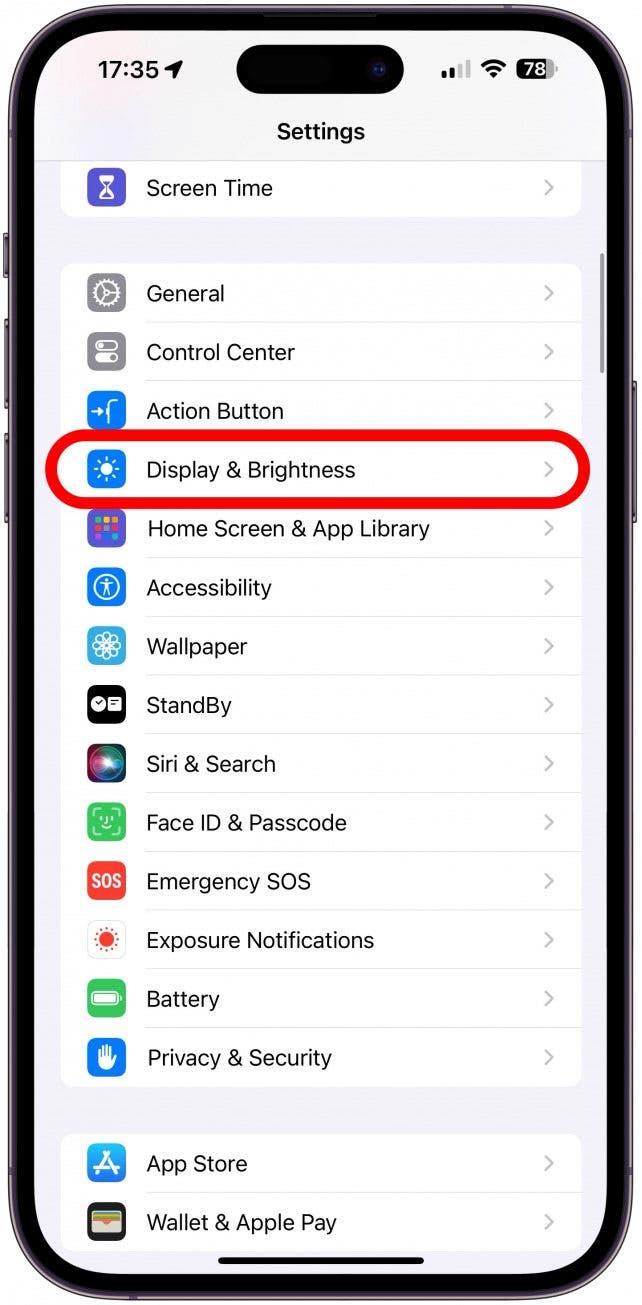 If StandBy Mode still isn’t working, return to Settings and tap Display & Brightness.