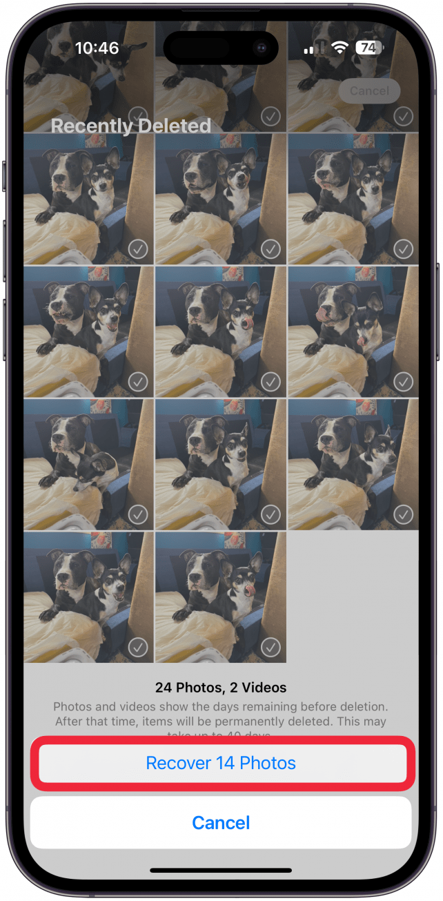 You'll have to confirm by tapping Recover [#] Photos.