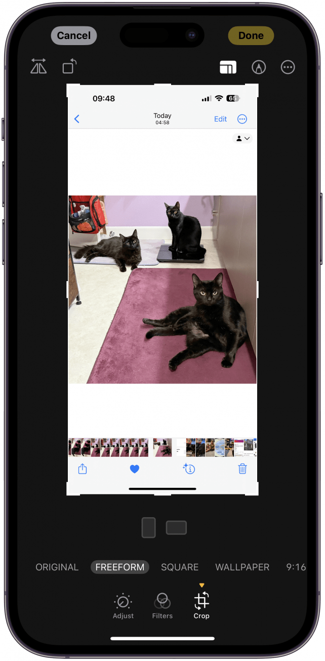 How to Crop Photos on iPhone