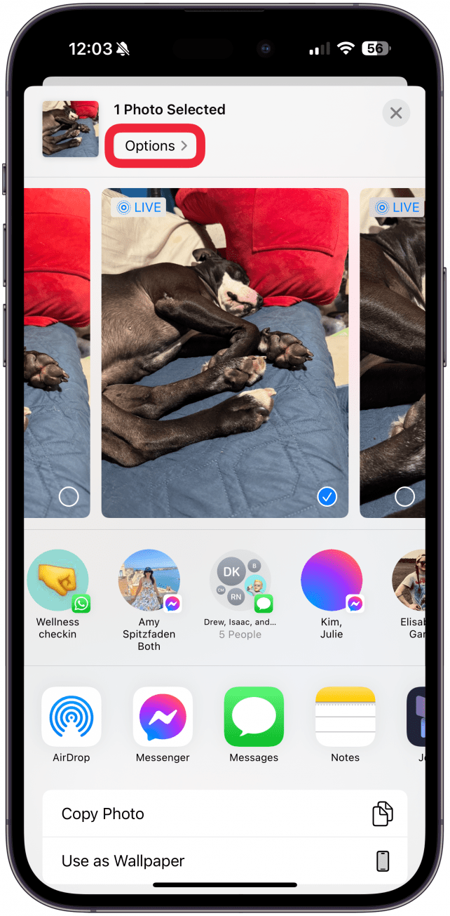 Under the (Number) Photos Selected, tap Options.