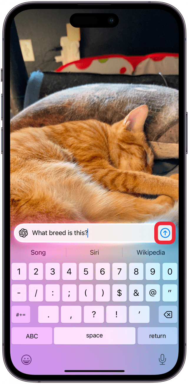 Type a question or communicate with ChatGPT about the photograph, tap the arrow up icon to send your request.