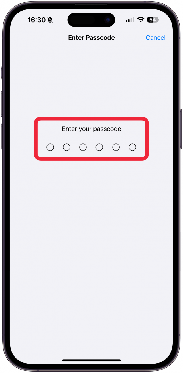 You'll have to enter your Passcode and follow any other on-screen directions to finish the reset process.