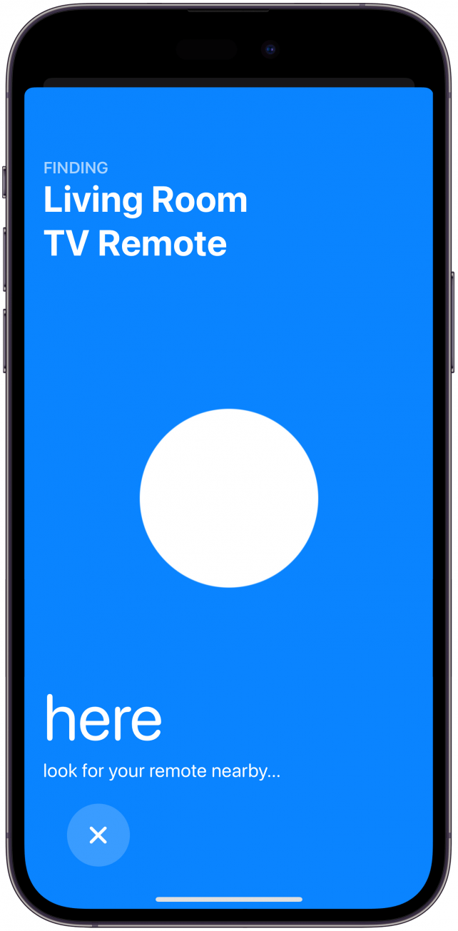 Tap the Find Apple Remote icon.