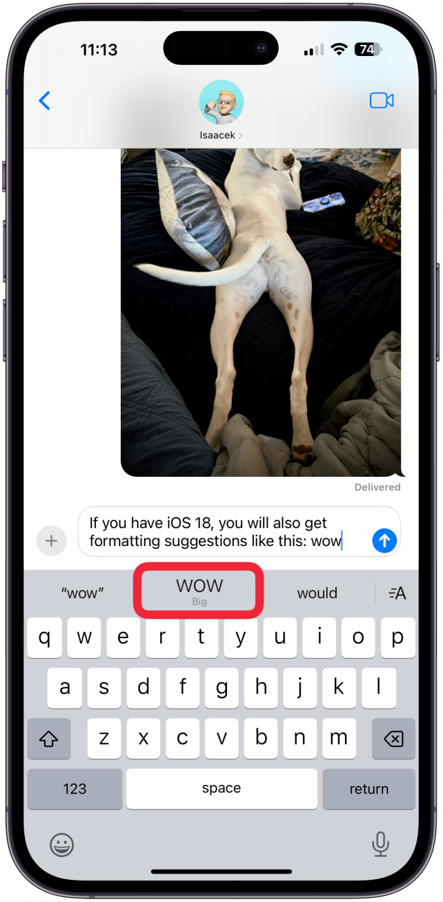 If you are running iOS 18 or later, you may also get formatting suggestions.