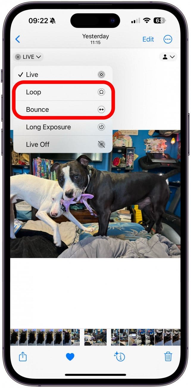 You’ll see Live Photo with a check by it, then Loop, Bounce, and Long Exposure.